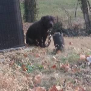 Meet your Posher, William